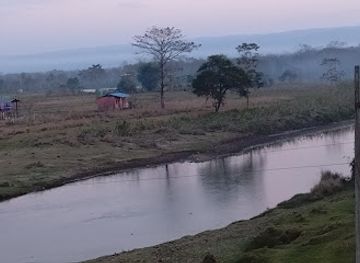 nepal/chitwan-national-park/attraction/elephant-breeding-centre-suspension-bridge