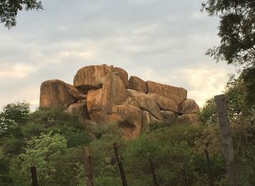 zimbabwe/zambezi-valley/attraction/wild-is-life-zen