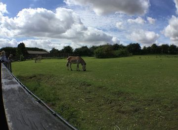 united-kingdom/cambridge/attraction/linton-zoo
