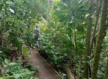 norfolk-island/slaughter-bay/attraction/botantic-gardens