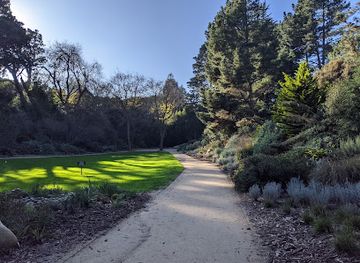 california/muir-woods-national-monument/attraction/national-aids-memorial-grove
