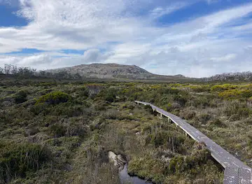 Mount Field East