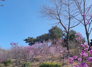 south-korea/incheon/attraction/wonmisan