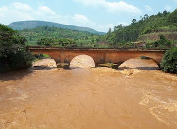 burundi/kibira-national-park/attraction/pont-sur-la-ruvubu
