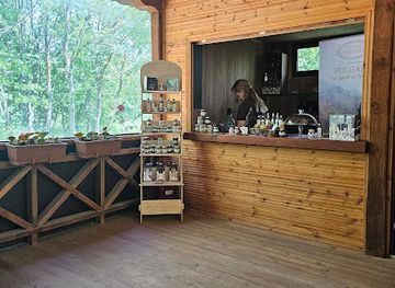 bulgaria/albena/attraction/truffle-hunting-tours