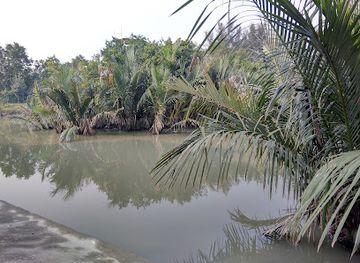 india/sundarbans/attraction/mangrove-interpretation-centre