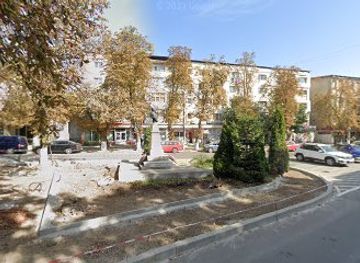 romania/vrancea/attraction/bustul-lui-alexandru-ioan-cuza