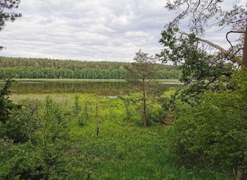 poland/bory-tucholskie/attraction/rezerwat-przyrody-miedzno