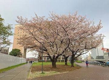 japan/tokyo/attraction/unga-park