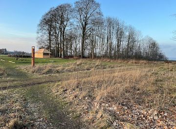 denmark/horsens/attraction/tyrstedlund-naturpark