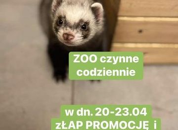 poland/warsaw/attraction/mini-zoo-warszawa