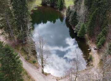 france/vosges-mountains/attraction/etang-de-sechemer