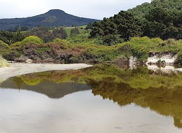 new-zealand/otago/attraction/long-beach