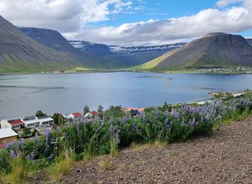iceland/dynjandi-waterfall/attraction/floovarnarveggur