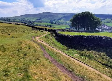 united-kingdom/peak-district/attraction/twenty-trees