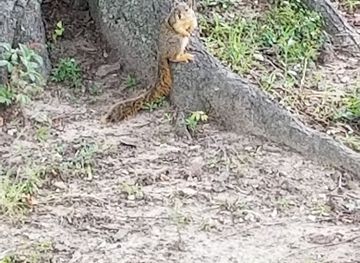 mississippi/tunica-casinos/attraction/town-of-tunica-veterans-memorial