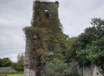ireland/county-meath/attraction/dangan-castle
