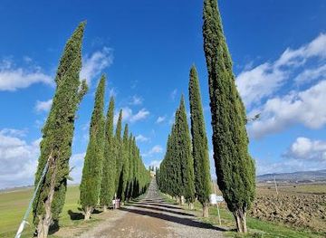 italy/montepulciano/attraction/viale-di-cipressi