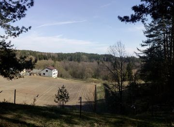 poland/suwalszczyzna/attraction/cemetery-of-jacwingow-nature-reserve