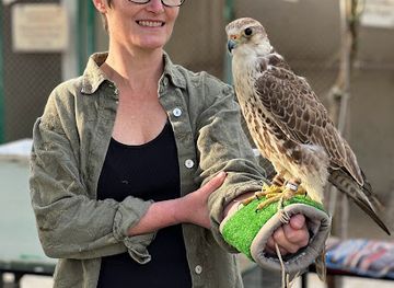 qatar/al-shamal/attraction/alkubaisi-educational-reserve