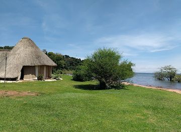 uganda/entebbe/attraction/ngamba-chimpanzee-sanctuary-on-lake-victoria
