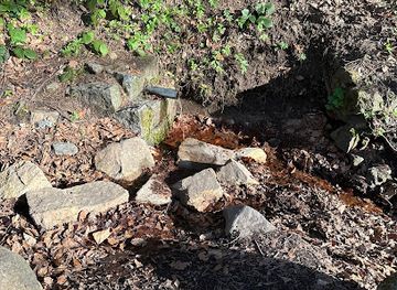 bulgaria/vitosha-mountain/attraction/pavlova-chesma