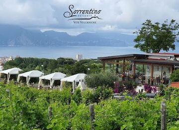 italy/capri/attraction/azienda-vinicola-sorrentino