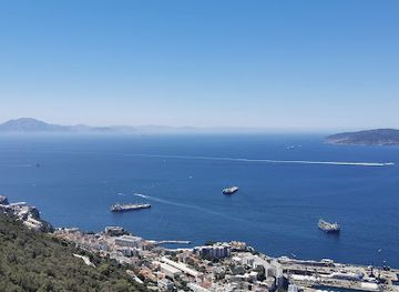 gibraltar/gibraltar-harbour/attraction/trafalgar-cemetery