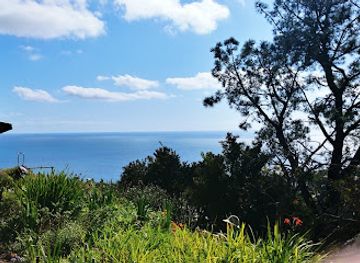 california/laguna-beach/attraction/friends-hortense-miller-garden