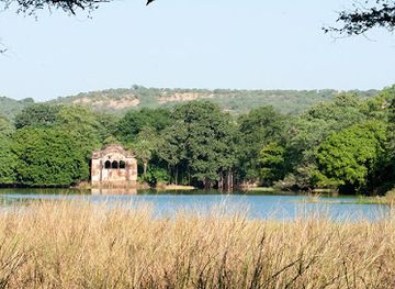 india/ranthambore/attraction/sabir-ali-wild-life-artist