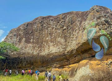 ghana/brong-ahafo/attraction/tano-sacred-grove