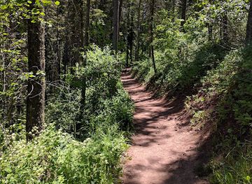 montana/gallatin-national-forest/attraction/south-cottonwood-trailhead