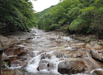 south-korea/miryang-valley/attraction/sirye-pumpkin-cow