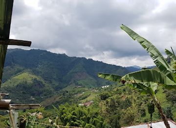 colombia/manizales/attraction/cafe-tio-conejo-finca
