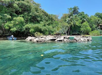 panama/bocas-del-toro/attraction/la-piscina-beach