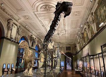 austria/vienna/attraction/museum-of-natural-history-vienna