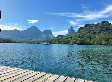 french-polynesia/moorea/attraction/corallina-tours-excursion-baleine-snorkeling-moorea-polynesie