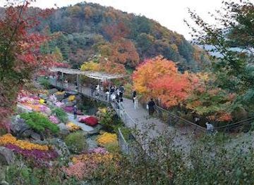 south-korea/seoul/attraction/hwadamsup