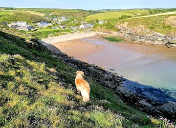 united-kingdom/pembrokeshire/attraction/nolton-haven-beach
