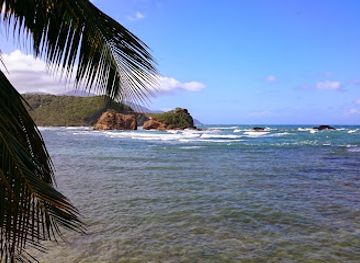 dominica/saint-david/attraction/calibishie-tourist-center