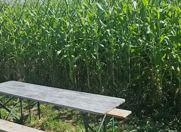 switzerland/emmental/attraction/maislabyrinth-emmental