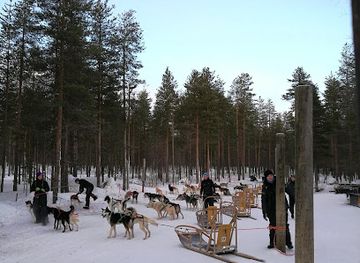 finland/rovaniemi/attraction/lapland-husky-safaris