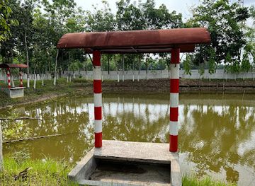bangladesh/lawachara-national-park/attraction/ji-park-fishing-and-picnic-spot