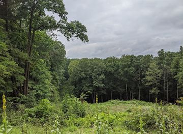 indiana/hoosier-national-forest/attraction/hitz-rhodehamel-nature-preserve