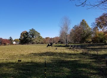 connecticut/west-hartford/attraction/westmoor-park