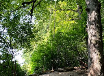 slovakia/trencin/attraction/hojdacka-skalka