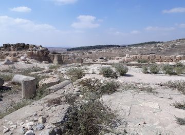 israel/negev/attraction/farm-shwadron