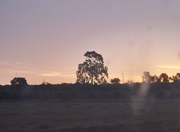 australia/riverland/attraction/bird-hide