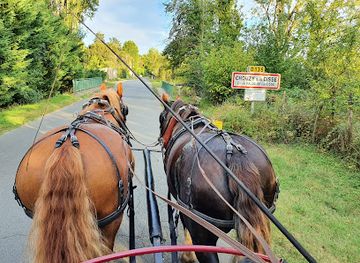 france/loire-valley/attraction/cheval-de-cisse