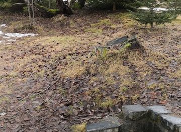 slovakia/tatranska-lomnica/attraction/pramen